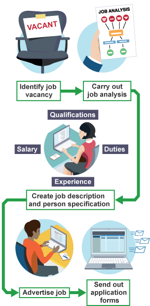 Recruitment stages - job vacancy, job analysis, job description/person specification, advertise job, send application forms