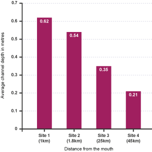 Bar graph showing channel depth and distance from river mouth.