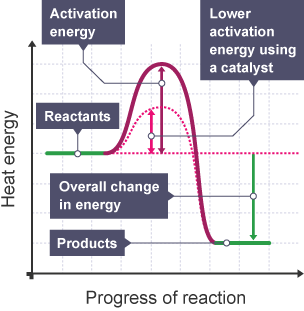 A reaction profile for a reaction with and without a catalyst