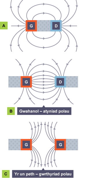 Diagram yn dangos llinellau maes magnetig ar gyfer un bar magnet, dau fagnet gyda pegynnau gwahanol yn denu, a dau fagnet gyda pegynnau tebyg yn gwrthyrru.