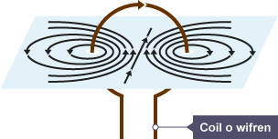 Diagram yn dangos y llinellau maes magnetig mewn coil cylchol.