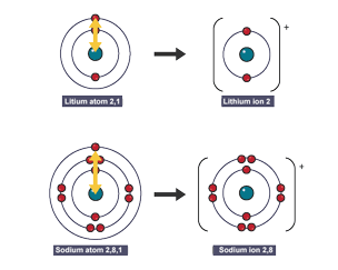 The outer electron in sodium feels a weaker attraction to the nucleus because it is further away which means sodium is more reactive.