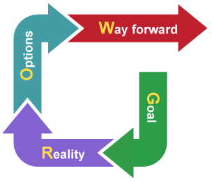 Goal, Reality, Options, Way forward