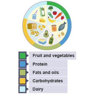What are the main food groups? - BBC Bitesize
