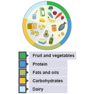 examples of fruit and vegetables, protien, fats and oils, carbohydrates and dairy on one big plate.