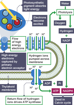 Energy transfer