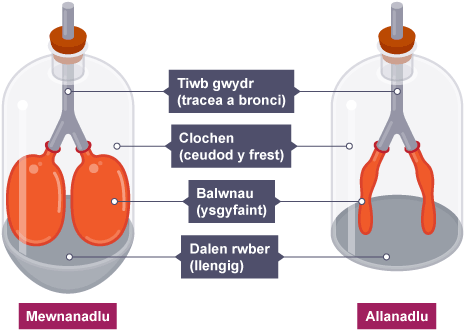 Melissa erotik rasmlar