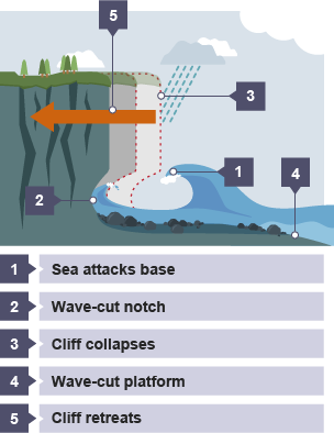 Sea attacks base. Wave-cut notch forms. Cliff collapses. Wave-cut platform forms. Cliff retreats.