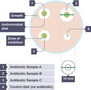 The effectiveness of the chosen antibiotic or antiseptic can be measured numerically by using the formula πr2. Using the diagram