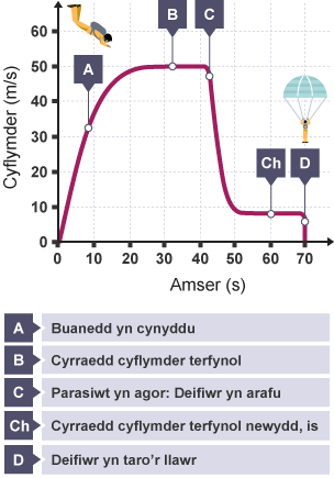 Graff cyflymder-amser wedi’i labelu. Mae’n dangos buanedd deifiwr yn cynyddu, gan gyrraedd cyflymder terfynol, y parasiwt yn agor a chyrraedd cyflymder terfynol is ac yna glanio.