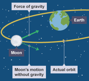 The moon orbits the Earth and shows the force of gravity on the moon, the direction the moon would travel without Earth's gravity, and the moon's actual orbit.