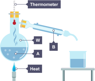 Separation apparatus