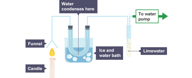 Investigating Combustion