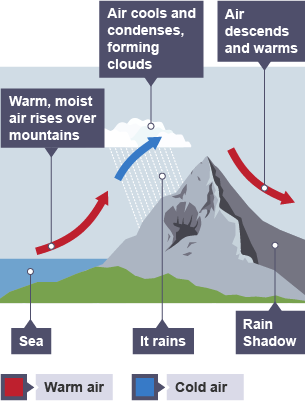 Warm, moist air from the sea rises over the mountains. As it rises, the air cools and condenses, forming clouds and rain. After the mountains, the air descends and warms. This area is the rain shadow.