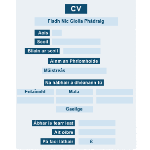 CV Fiadh Nic Giolla Phadráig