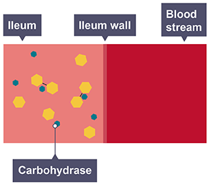 Molecular breakdown