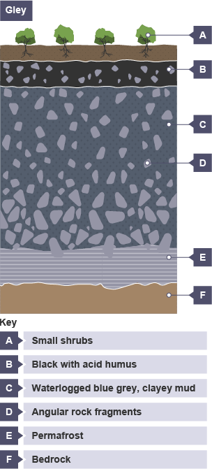 Differences in layers of soil beneath the earth - especially Gley.