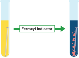 A nail is placed into a tube of ferroxyl indicator, which turns blue with pink bubbles forming around the nail.