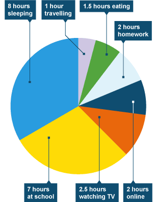 Pie chart data describing 24 hours of Paul's daily activity