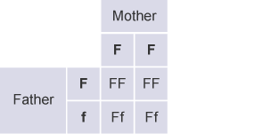 Only the Father has the recessive allele.  Therefore although there's a 50% chance their offspring will carry the recessive allele, the offspring will not have cystic fibrosis.