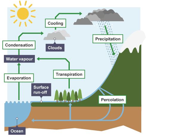 Diagram Of Water Cycles For Students 15