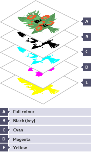 The four separate colours plates of CMYK (cyan, magenta, yellow and black or key) coming together to form a full colour image of a bunch of flowers.