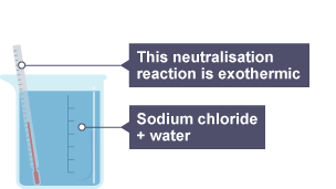 The beaker now contains sodium chloride and water, and the thermometer is showing a rise in temperature, so the neutralisation reaction is exothermic.