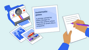a polaroid camera and explanation of instamatic poems