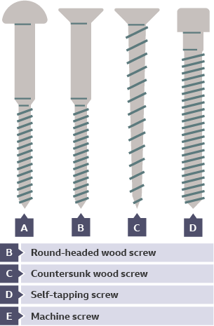 Four different screw types for timbers - a round-headed wood screw, a countersunk wood screw, a self-tapping screw and a machine screw.