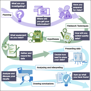 The stages of geographical enquiry