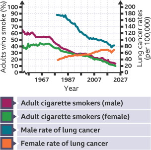 A graph showing number of adults who smoke and lung-cancer rates.
