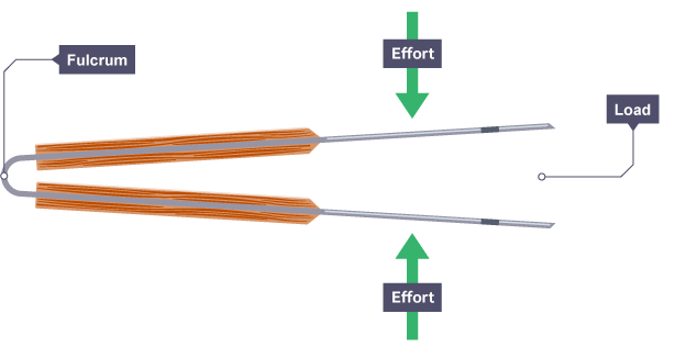 Tweezers showing the fulcrum at the closed end of the tweezers and load at the open end with the effort focused around a third of the distance from the load.