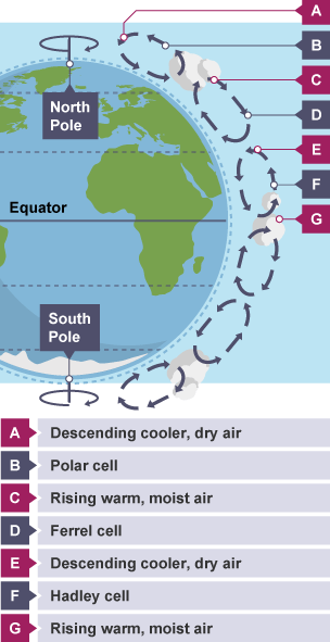 North pole, polar cell air descending cooler, dry air. Then ferrel cell, rising warm moist air. Then Hadley Cell back to descending cooler, dry air. From equator circuit happens again in reverse.