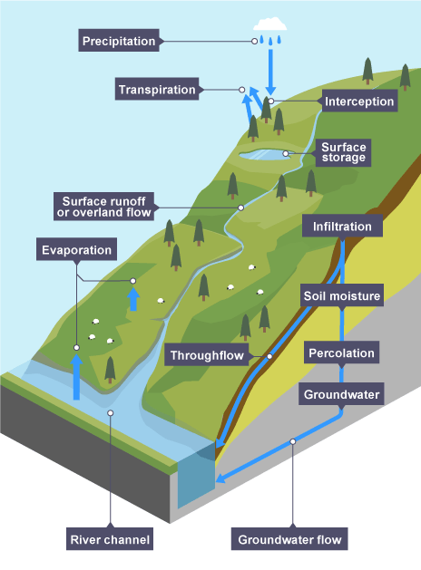 Drainage basins - Hydrological cycle within a drainage basin