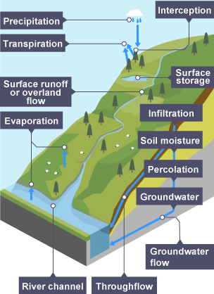 The hydrological cycle of basins - Hydrological cycle within a