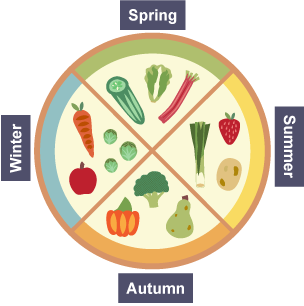 A chart showing different types of fruit and vegetables available in spring, summer, autumn and winter