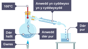 Dŵr hallt yn cael ei wresogi, a dŵr yn anweddu. Mae'r anwedd dŵr yn oeri yn y cyddwysydd ac yn diferu i mewn i ficer.