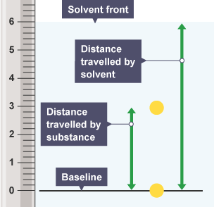 A chromatogram showing a substance has travelled 3 cm from the baseline. The solvent front is at 6 cm, so the solvent has travelled 6 cm.