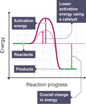 Catalysts & Activation Energy