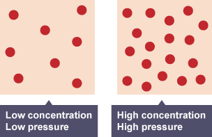 Diagram of a low and high concentration of a reactant or the low and high pressure of a gaseous reactant.