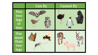 Carroll diagram with animals grouped into the right categories