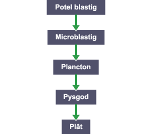 Diagram llif: Potel blastig > Microblastig > Plancton > Pysgod > Plât.