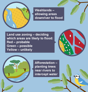 Illustration showing three examples of soft engineering to combat flooding.