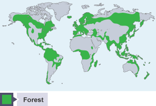 World map showing areas of forest in 8000 BCE