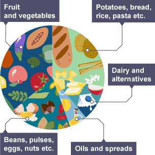 Vegetarians and vegans