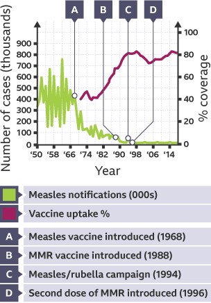 A graph showing measles notifications in 1000s from 1950 to 2014.