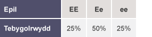 Tabl gyda rhesi wedi’u labelu fel Epil a Tebygolrwydd: EE, 25%. Ee, 50%. Ee, 25%