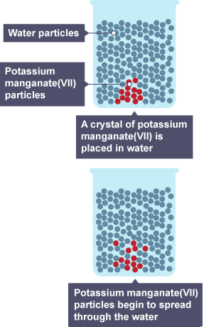 The particles have moved from a region of high concentration in the crystal to a low concentration in the water. This difference in concentration is called a concentration gradient.