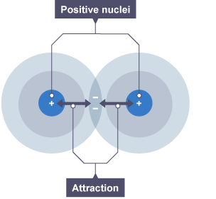 A covalent bond between two atoms. Their outermost orbitals overlap and the electrons within are equally attracted to both nuclei, holding the atoms together.