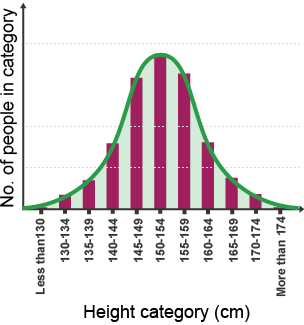 A bar chart with data showing the number of different people of different heights between 130 and 174 cm, with a line of best fit in the shape of a hill 